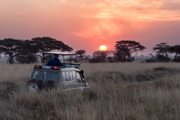 Early Morning Safari Sunrise